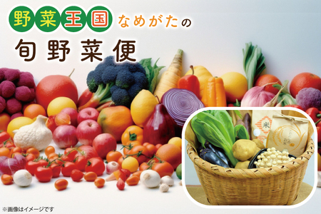 CU-138　【12ヶ月定期便】野菜王国なめがたの旬野菜の定期便（米入り）