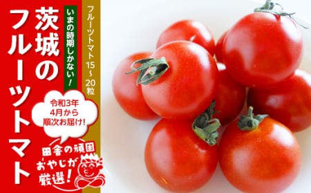 田舎の頑固おやじが厳選！トマト好きにはこれだっぺ！この時期にしかない茨城のフルーツトマト！【令和3年4月から順次お届け】