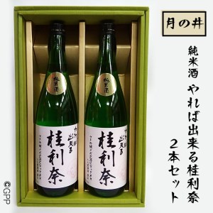 日本酒 純米酒 ガルパン 720ml 2本 セット 月の井 コラボ 大洗 地酒 ガールズ＆パンツァー 桂利奈