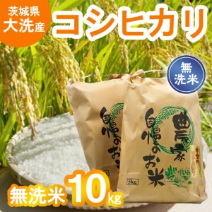 令和5年産 大洗産 コシヒカリ 無洗米 10kg (5kg×2袋） お米 茨城 こめ 米_AH014