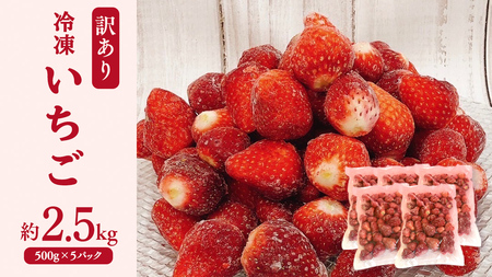 【 訳あり 】 冷凍 いちご 約2.5kg ( 500g × 5パック ) イチゴ 苺 アイス 冷たい 旬 凍眠 小分け 新鮮 お得 品種ランダム [AU069ya]