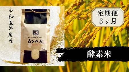 【3ヵ月定期便】＼令和5年産／和の米「酵素米」　精米5kg×3回