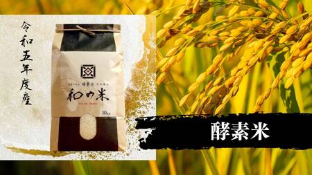 ＼令和5年産／和の米　「酵素米」　玄米10kg