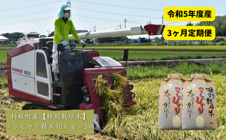 【3ヶ月定期便】利根町産【特別栽培米】コシヒカリ　精米10kg×3回