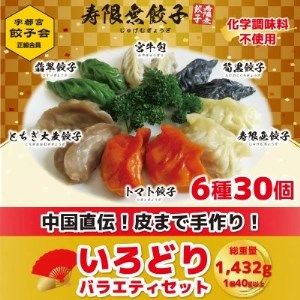 「宇都宮餃子加盟店」寿限無餃子のいろどりバラエティセット(6種30個)