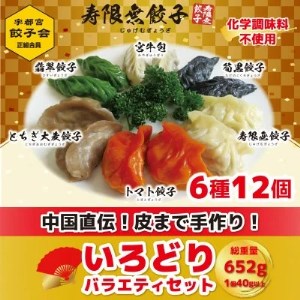 「宇都宮餃子加盟店」寿限無餃子のいろどりバラエティセット(6種12個)