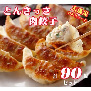 「宇都宮餃子会とんきっき」肉餃子　90個（計1.6kg）