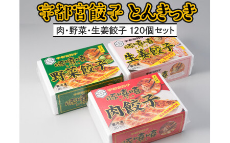 【120個】宇都宮餃子とんきっき　20個入り肉・野菜・生姜餃子120個セット ※着日指定不可