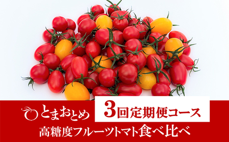 【定期便】栃木県鹿沼産 高糖度 フルーツトマト ”とまおとめ”  食べ比べ  1kg×3回 お届け 定期便 野菜 トマト フルーツトマト 食べ比べ 3kg お届け：2024年1月中旬～5月下旬