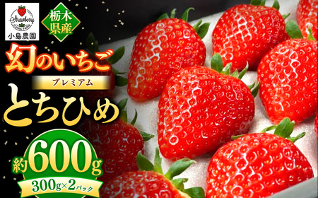 【先行予約】幻のイチゴ とちひめ 600g
