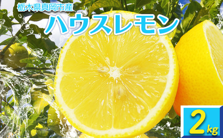 【2024年先行予約】真岡市産ハウスレモン 2kg