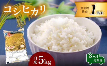 【定期便】お米 コシヒカリ 白米 3回定期 5kg×3回