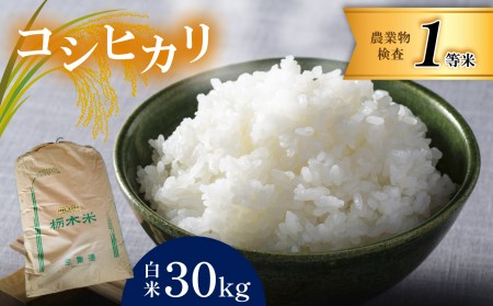 お米 コシヒカリ 30kg 白米