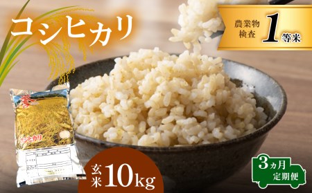 【定期便】定期便 コシヒカリ 玄米 10kg 3回定期 真岡産