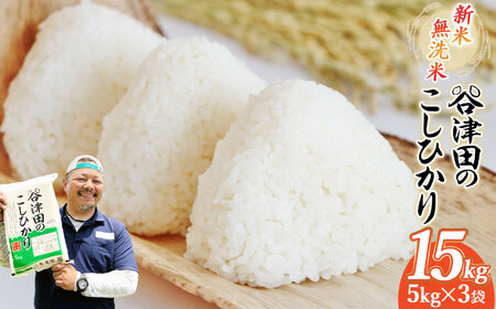 【先行予約】谷津田のこしひかり 新米 無洗米 15kg
