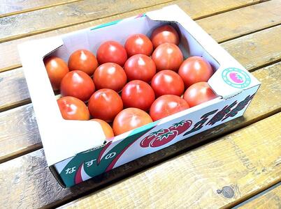 渡邉農園の「五峰美トマト」1箱 約2kg 栃木県大田原市産