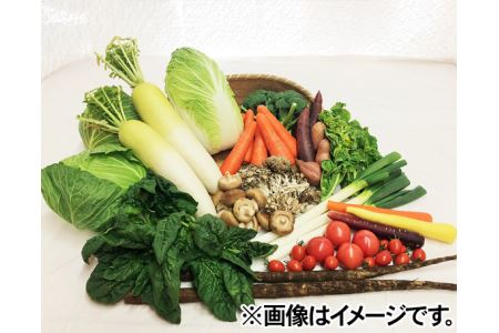 No.028 下野市産　季節の野菜詰め合わせ