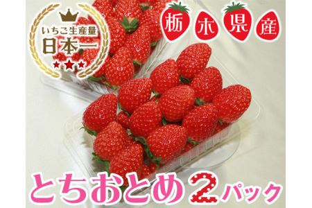 No.057 栃木県下野市産　とちおとめ（2パック）