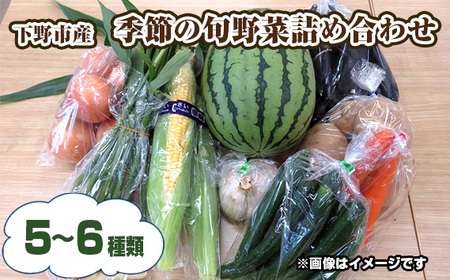 No.231 下野市産　季節の旬野菜詰め合わせ