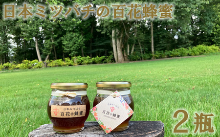 No.233 日本ミツバチの百花蜂蜜（2瓶）