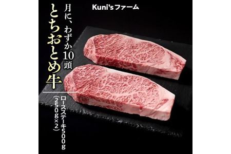 とちおとめ牛　ロースステーキ500g(250g×2) 牛肉 ステーキ◇