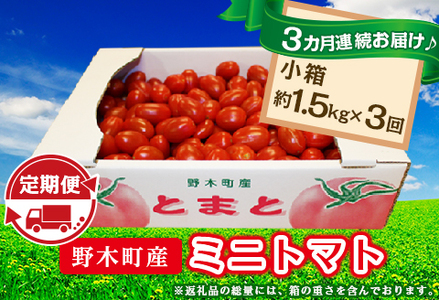 ミニトマト 定期便 1.5kg × 3回 【3カ月連続お届け】T08