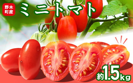 T02 栃木県野木町産ミニトマト小箱（約1.5kg）
