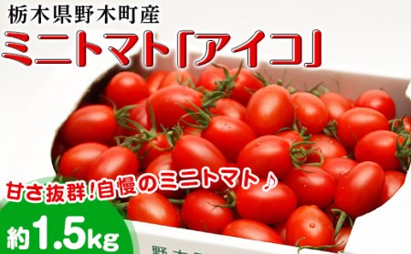 T07栃木県野木町産ミニトマト「アイコ」小箱（約1.5kg）