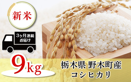 K03【3ヵ月連続お届け】栃木県野木町産コシヒカリ（約9kg・精米つきたて）