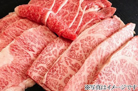 【冷蔵】那須和牛焼肉セットA5（カルビ・もも・肩肉 各470g）牛肉 国産 冷蔵 冷凍 焼肉〔E-5〕