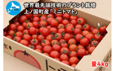 【2024年】北海道上ノ国町産 寅福菜園のミニトマト（4㎏）　みにとまと　甘い　野菜　プラントハウス
