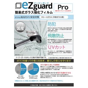 イージーガード(ezguard)Pro【4枚入】【1421905】