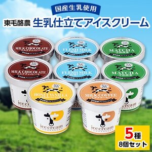 群馬県太田市　生乳仕立てアイスクリーム 8個セット【配送不可地域：離島】【1223044】