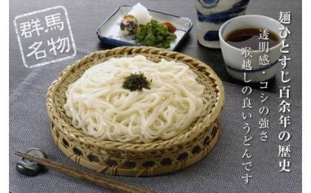 ふる里水沢®うどん200g（2人前）×40袋入り（約80人前）  麺 日本三大うどん 水沢 F4H-0055