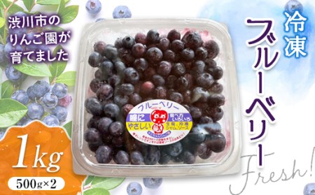 フレッシュな冷凍ブルーベリー1kg（500g×2） フルーツ 果物 果実 群馬県 渋川市 F4H-0173