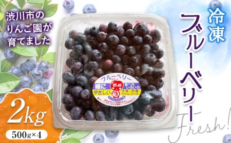 フレッシュな冷凍ブルーベリー2kg（500g×4） フルーツ 果物 果実 群馬県 渋川市 F4H-0177