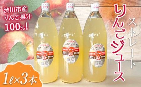渋川のおいしいりんごで作ったストレートりんごジュース（1L×3本）リンゴ 林檎 ジュース 果実飲料 フルーツジュース 群馬県 渋川市 F4H-0176