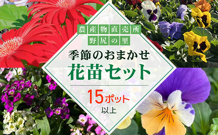 季節のおまかせ花苗セット【15ポット以上】 ANAR011