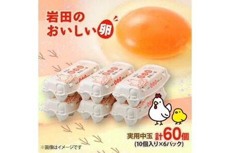岩田のおいしい卵　実用中玉60個 (10個入り×6パック)【配送不可地域：離島】【1081154】