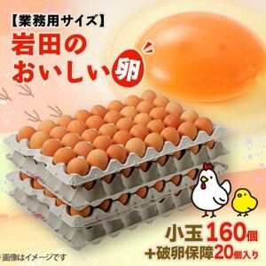 【業務用サイズ】岩田のおいしい卵小玉160個+破卵保障20個入り【配送不可地域：離島】【1092661】