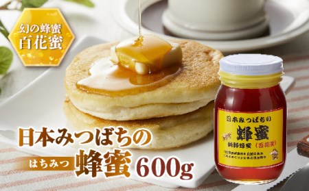 日本みつばちの蜂蜜600g ミツバチ 蜜蜂 希少 幻 パンケーキ 紅茶 スイーツ 花 まろやか 純国産 F21K-043