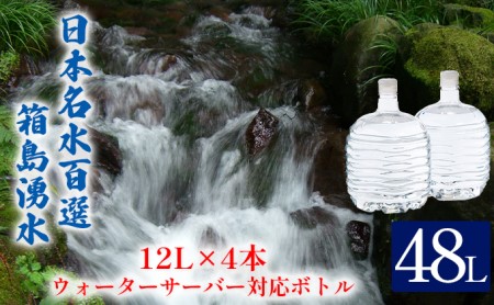 群馬の名水 箱島湧水 エアL  12L×4本 ウォーターサーバー 対応ボトル(2本×2回) 飲料 ドリンク 飲料類 水 ミネラルウォーター 名水 天然水