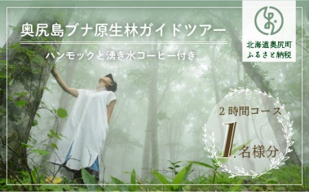奥尻島ブナ原生林ガイドツアー １名様分(ハンモックと湧き水コーヒー付き 2時間)