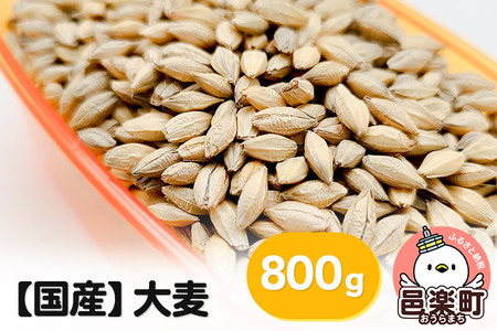 【国産】大麦 800g×1袋 サイトウ・コーポレーション 飼料