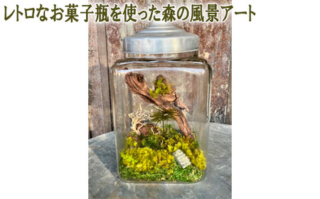 No.356 レトロなお菓子瓶を使った森の風景アート