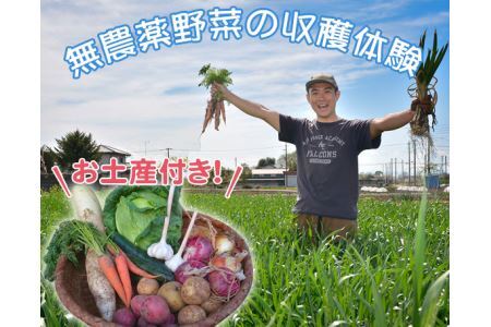 No.063 収穫野菜のお土産付き！東京近郊の畑で無農薬野菜の収穫体験（1組分）