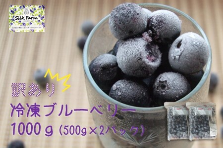 【訳あり】シルクファーム産　冷凍ブルーベリー1000g（500g×2パック）