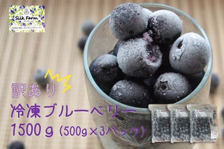 【訳あり】シルクファーム産　冷凍ブルーベリー1500g（500g×3パック）