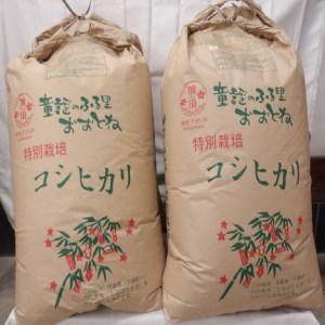 C-8　特別栽培米コシヒカリ　精米または玄米のままで３０㎏ 精米5ｋｇ×６袋