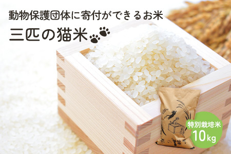 三匹の猫米/動物保護に携われる/特別栽培米 10kg